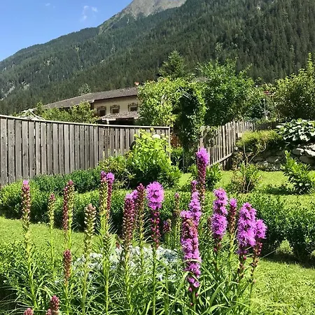 Schneiterhof - Der Frei-raum