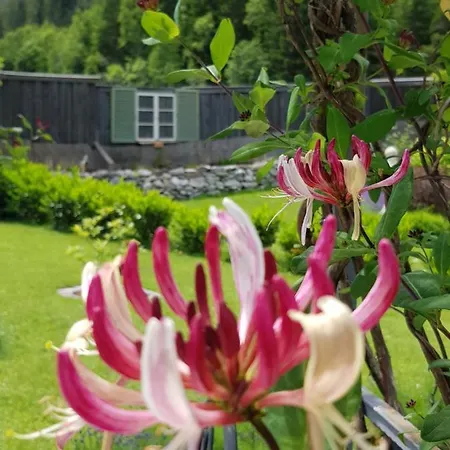 Apartament Schneiterhof - Der Frei-raum *