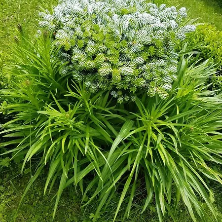 Schneiterhof - Der Frei-raum Apartament