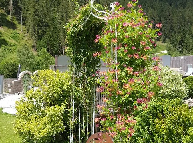 Schneiterhof - Der Frei-raum شقة *