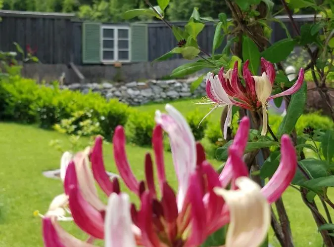 شقة Schneiterhof - Der Frei-raum *