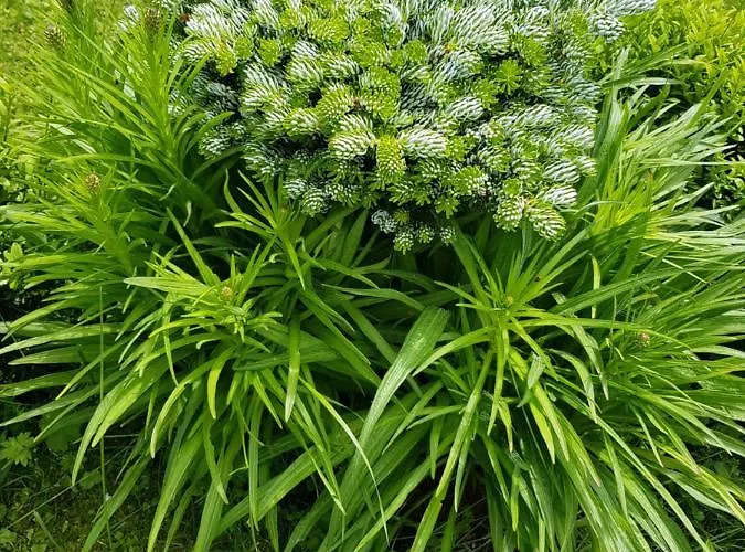 Schneiterhof - Der Frei-raum Appartamento