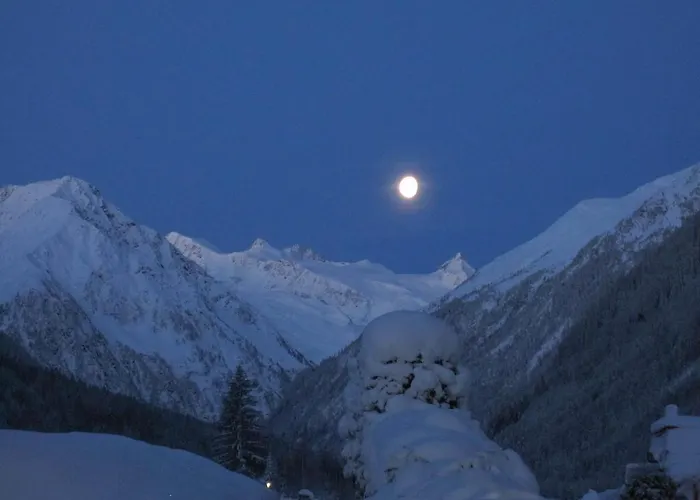 Schneiterhof - Der Frei-raum